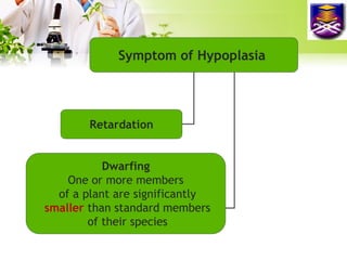 Hypotrophy : the under-development of
plant organ or plant size because the
reducing of cell sizes
Hypoplasia : the under-...