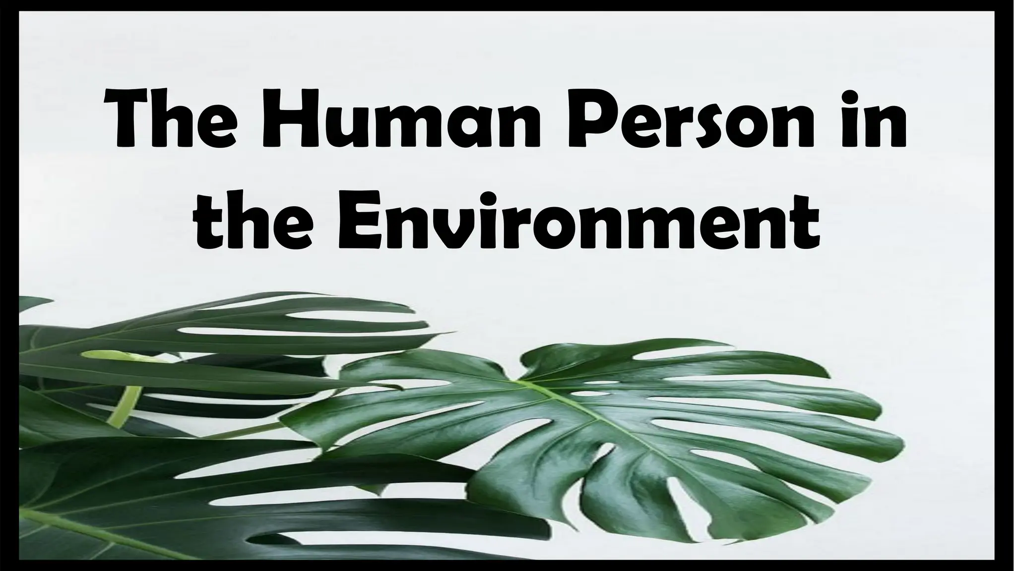 C 4- philo1- The Human Person in their Environment.pptx