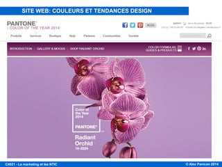 © Alex Panican 2014C4021 - Le marketing et les NTIC
SITE WEB: COULEURS ET TENDANCES DESIGN
 