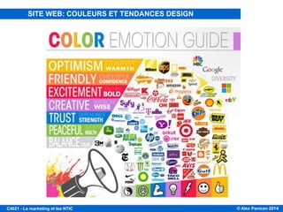 © Alex Panican 2014C4021 - Le marketing et les NTIC
SITE WEB: COULEURS ET TENDANCES DESIGN
 