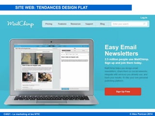 © Alex Panican 2014C4021 - Le marketing et les NTIC
TENDANCES DE MISE EN PAGE
SITE WEB: TENDANCES DESIGN FLAT
 