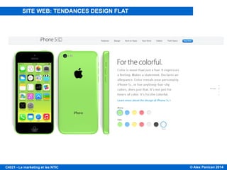 © Alex Panican 2014C4021 - Le marketing et les NTIC
SITE WEB: TENDANCES DESIGN FLAT
 