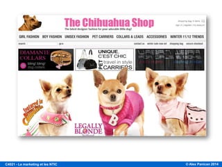 © Alex Panican 2014C4021 - Le marketing et les NTIC
 