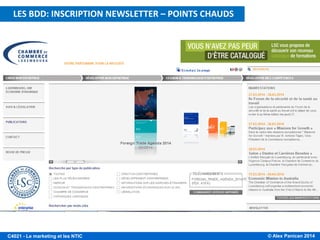 © Alex Panican 2014C4021 - Le marketing et les NTIC
LES BDD: INSCRIPTION NEWSLETTER – POINTS CHAUDS
 