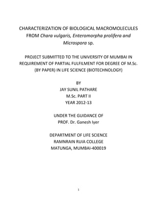 1
CHARACTERIZATION OF BIOLOGICAL MACROMOLECULES
FROM Chara vulgaris, Enteromorpha prolifera and
Microspora sp.
PROJECT SUBMITTED TO THE UNIVERSITY OF MUMBAI IN
REQUIREMENT OF PARTIAL FULFILMENT FOR DEGREE OF M.Sc.
(BY PAPER) IN LIFE SCIENCE (BIOTECHNOLOGY)
BY
JAY SUNIL PATHARE
M.Sc. PART II
YEAR 2012-13
UNDER THE GUIDANCE OF
PROF. Dr. Ganesh Iyer
DEPARTMENT OF LIFE SCIENCE
RAMNRAIN RUIA COLLEGE
MATUNGA, MUMBAI-400019
 