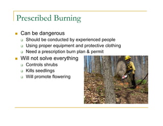 Prescribed Burning
 Can be dangerous
 Should be conducted by experienced people
 Using proper equipment and protective clothing
 Need a prescription burn plan & permit
 Will not solve everything
 Controls shrubs
 Kills seedlings
 Will promote flowering
 