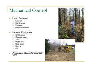 Mechanical Control
 Hand Removal
 Loppers
 Hand saws
 Pruners
 Propane torches
 Heavier Equipment
 Chainsaws
 Clearing saws
 JAWZ
 Hydroaxe
 Skid steer
 Bobcat
 Etc.
 Pros & cons of each for volunteer
work
 