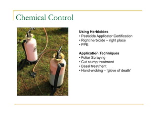 Chemical Control
Using Herbicides
• Pesticide Applicator Certification
• Right herbicide – right place
• PPE
Application Techniques
• Foliar Spraying
• Cut stump treatment
• Basal treatment
• Hand-wicking – ‘glove of death’
 
