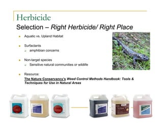 Herbicide
Selection – Right Herbicide/ Right Place
 Aquatic vs. Upland Habitat
 Surfactants
 amphibian concerns
 Non-target species
 Sensitive natural communities or wildlife
 Resource:
The Nature Conservancy’s Weed Control Methods Handbook: Tools &
Techniques for Use in Natural Areas
 