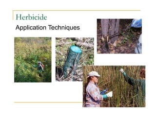 Herbicide
Application Techniques
 
