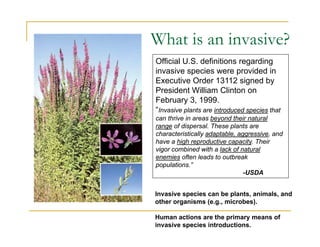 What is an invasive?
Official U.S. definitions regarding
invasive species were provided in
Executive Order 13112 signed by
President William Clinton on
February 3, 1999.
“Invasive plants are introduced species that
can thrive in areas beyond their natural
range of dispersal. These plants are
characteristically adaptable, aggressive, and
have a high reproductive capacity. Their
vigor combined with a lack of natural
enemies often leads to outbreak
populations.”
-USDA
Invasive species can be plants, animals, and
other organisms (e.g., microbes).
Human actions are the primary means of
invasive species introductions.
 