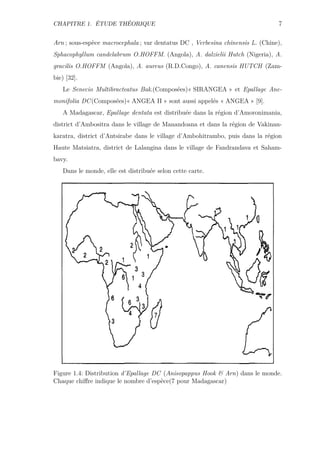 CHAPITRE 1. ÉTUDE THÉORIQUE 7
Arn ; sous-espèce macrocephala ; var dentatus DC , Verbesina chinensis L. (Chine),
Sphacophyllum candelabrum O.HOFFM. (Angola), A. dalzielii Hutch (Nigeria), A.
gracilis O.HOFFM (Angola), A. aureus (R.D.Congo), A. canensis HUTCH (Zam-
bie) [32].
Le Senecio Multibracteatus Bak.(Composées)« SIRANGEA » et Epallage Ane-
monifolia DC(Composées)« ANGEA II » sont aussi appelés « ANGEA » [9].
A Madagascar, Epallage dentata est distribuée dans la région d’Amoronimania,
district d’Ambositra dans le village de Manandoana et dans la région de Vakinan-
karatra, district d’Antsirabe dans le village d’Ambohitrambo, puis dans la région
Haute Matsiatra, district de Lalangina dans le village de Fandrandava et Saham-
bavy.
Dans le monde, elle est distribuée selon cette carte.
Figure 1.4: Distribution d’Epallage DC (Anisopappus Hook & Arn) dans le monde.
Chaque chiﬀre indique le nombre d’espèce(7 pour Madagascar)
 