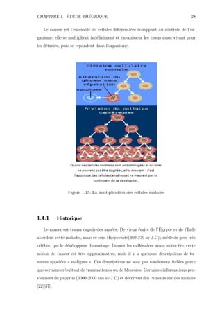 CHAPITRE 1. ÉTUDE THÉORIQUE 28
Le cancer est l’ensemble de cellules diﬀérentiées échappant au côntrole de l’or-
ganisme, elle se multiplient indéﬁniment et envahissent les tissus aussi vivant pour
les détruire, puis se répandent dans l’organisme.
Figure 1.15: La multiplication des cellules malades
1.4.1 Historique
Le cancer est connu depuis des années. De vieux écrits de l’Égypte et de l’Inde
abordent cette maladie, mais ce sera Hippocrate(460-370 av J.C) ; médecin grec très
célèbre, qui le dévéloppera d’avantage. Durant les millénaires avant notre ère, cette
notion de cancer est très approximative, mais il y a quelques descriptions de tu-
meurs appelées « malignes ». Ces descriptions ne sont pas totalement ﬁables parce
que certaines résultant de traumatismes ou de blessures. Certaines informations pro-
viennent de papyrus (3000-2000 ans av J.C) et décrivent des tumeurs sur des momies
[22][37].
 
