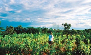 Food & Prosperity 223222
 