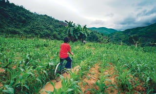 Chapter _: 54 Food & Prosperity
 