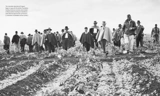 Food & ProsperityChapter Six: Exporting Success
The Colombian Agricultural Program
began in 1949 with Rockefeller Foundation
funding. American scientists were trained
in Mexico before traveling to Colombia to
work with local agronomists and farmers.
(J. Sarmiento. Rockefeller Archive Center.)
145144
 