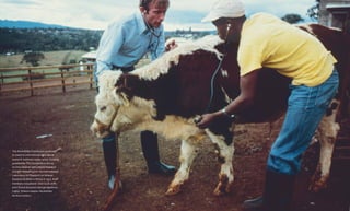 Food & Prosperity182 Chapter Eight: Taking Stock
The Rockefeller Foundation continued
to invest in international agricultural
research institutes in the 1970s. Funding
provided to The Consultative Group
on International Agricultural Research
(CGIAR) helped launch the International
Laboratory for Research on Animal
Diseases (ILRAD) in Kenya in 1973. Staff
members included Dr. Dick Cook (left)
and Clinical Assistant George Ngekenya
(right). (Marion Kaplan. Rockefeller
Archive Center.)
183
 