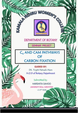 GUIDED BY:
DR. Trupti Patnaik Mam
H.O.D of Botany Department
Submitted by:
HARSHITA SAHOO
UNIVERSITY ROLL: 53RO117001
+3 3RD YEAR
C4 AND CAM PATHWAYS
OF
CARBON FIXATION
DEPARTMENT OF BOTANY
1
SEMINAR PROJECT
 