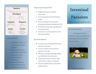 Intestinal
Parasites
What theyare andhow do
theyaffect yourhealth
IntestinalParasites
AccordingtotheCDC,a
parasiteisanorganismthatlivesonorin
ahostandgetsitsfoodfromoratthe
expenseofitshost.
ByJamieBerger
Didyouknow?
 Companion animals can
carry andpass parasites
topeople.
 Puppiesand kittensare
more likely tobeinfected
byparasites, suchas
roundwormsand
hookworms.
 Fleas andtickscan be
seen withthenaked eye,
butthereare microscopic
intestinal parasites that
can onlybefoundon
Waystoprotectyourself
 Puppiesand kittensshouldbe
dewormed
 Fecal examinations should takeplace
yearly
 Practice the fourPs:Pickuppoop
promptlyanddispose ofproperly(CDC).
 Washhands frequently,especially after
touchinganimals
 Avoidcontact withanimal feces with
bare handsandfeet.
Zoonoticdisease
 Is adisease thatcanbe passedbetween
animals andhumans
 Can becaused byviruses, bacteria,
parasites and fungi.
 Thetypes ofsymptomspeople display
can bedifferent foreach person.
 Somepeople can getverysick, while
othersshowno signsor symptoms
 Don’tlet children playin areas where
poopispresent.
 