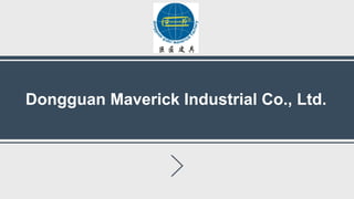 Dongguan Maverick Industrial Co., Ltd.
 