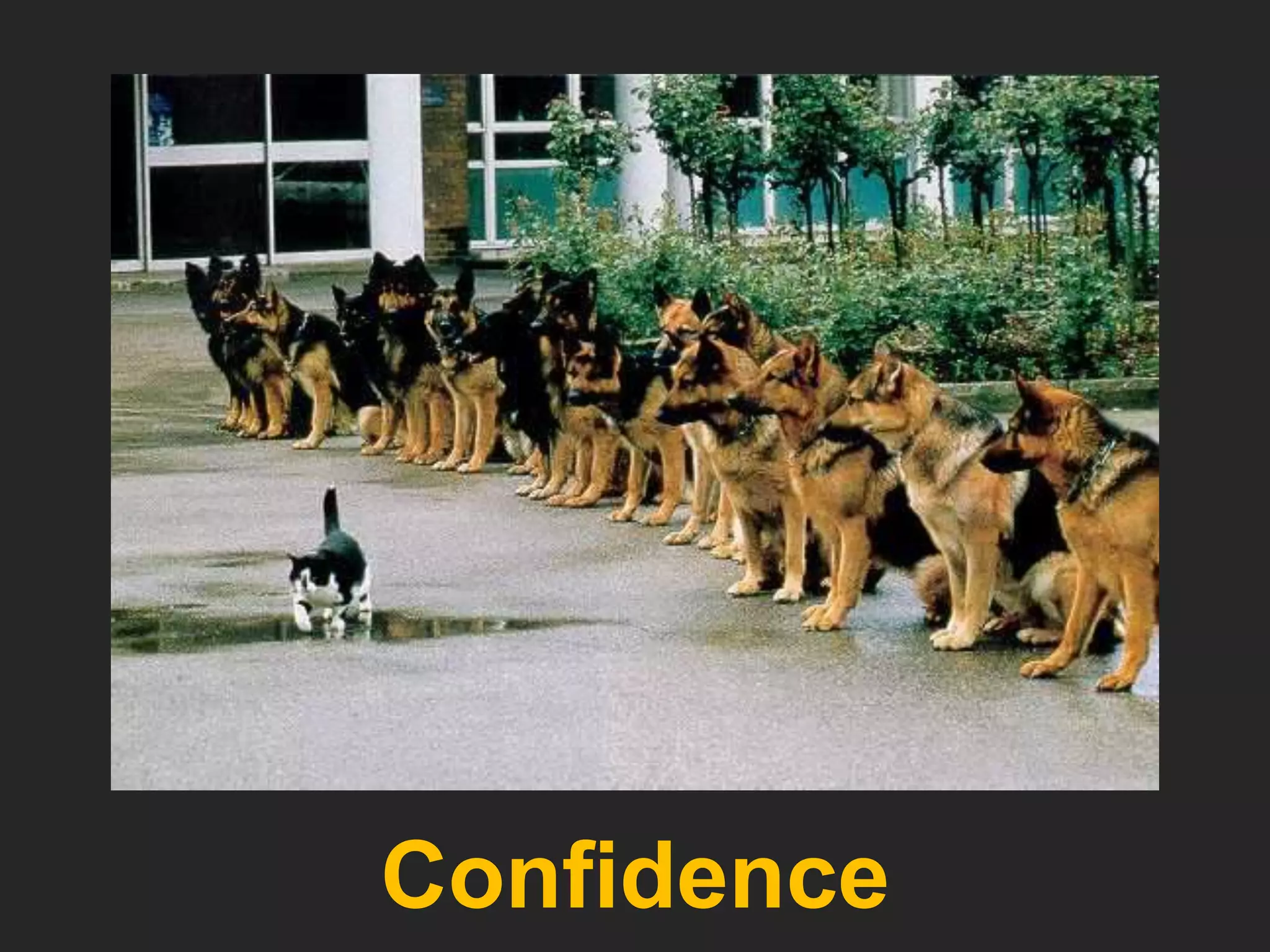 Confidence
 