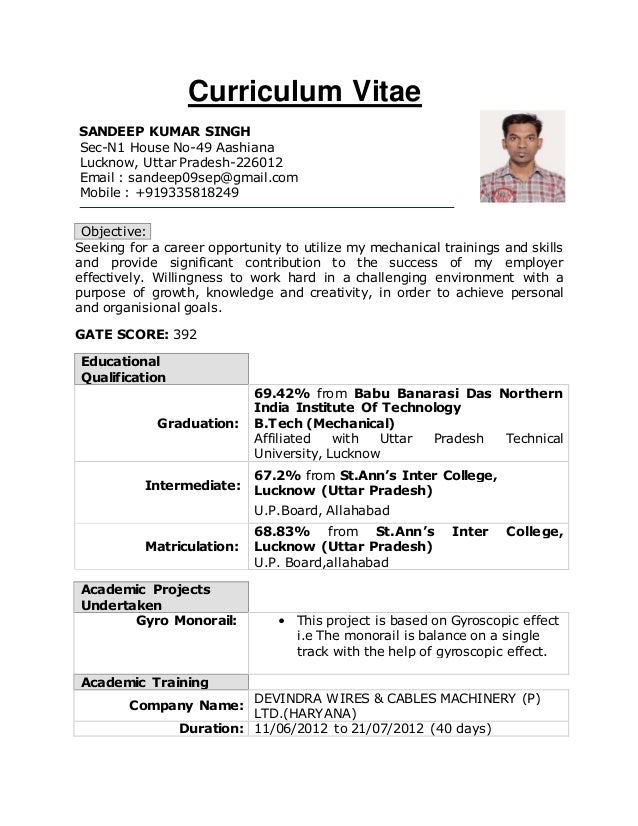 Cv New