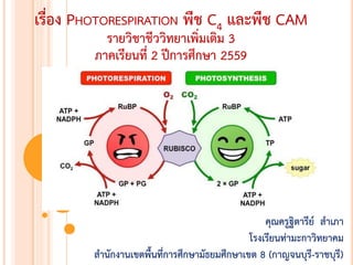 เรื่อง PHOTORESPIRATION พืช C4 และพืช CAM
รายวิชาชีววิทยาเพิ่มเติม 3
ภาคเรียนที่ 2 ปีการศึกษา 2559
คุณครูฐิตารีย์ สาเภา
โรงเรียนท่ามะกาวิทยาคม
สานักงานเขตพื้นที่การศึกษามัธยมศึกษาเขต 8 (กาญจนบุรี-ราชบุรี)
 