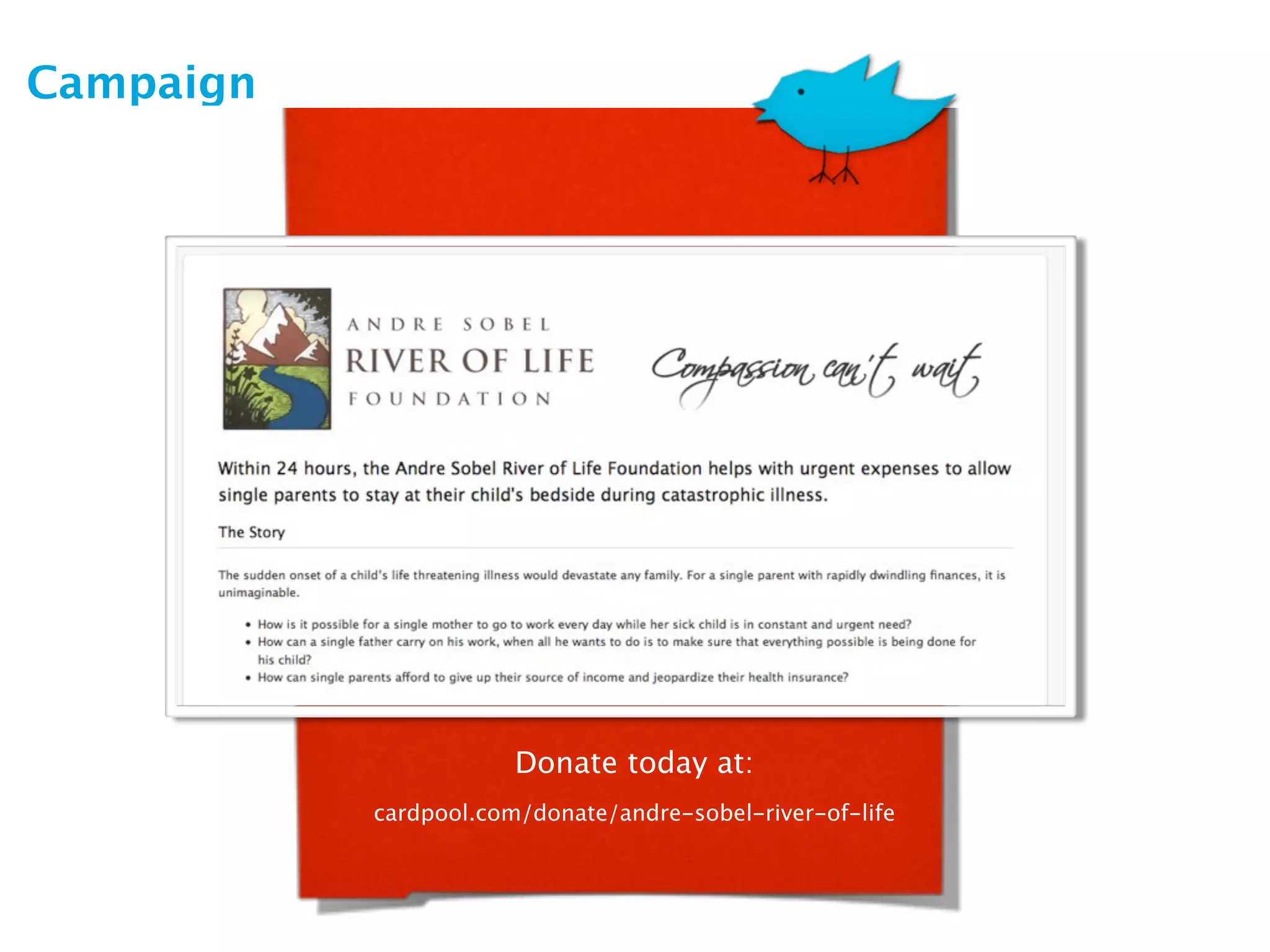 Campaign




                       Donate today at:
           cardpool.com/donate/andre-sobel-river-of-life
 