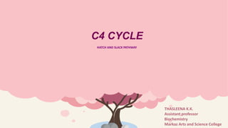 C4 CYCLE
HATCH AND SLACK PATHWAY
THASLEENA K.K.
Assistant professor
Biochemistry
Markaz Arts and Science College
 