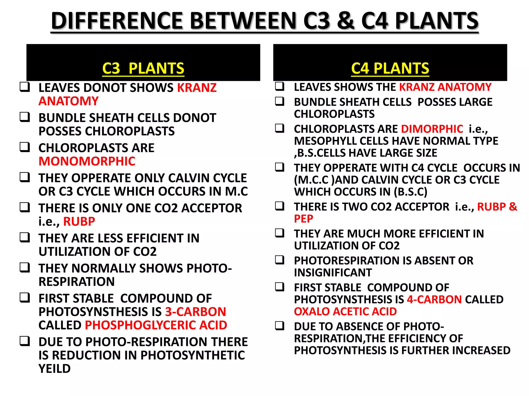 C4 CYCLE.pptx