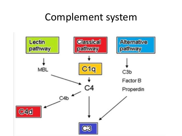 C4d positivity in Renal transplant rejection