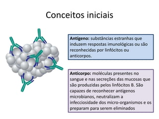 Conceitos iniciais
Antígeno: substâncias estranhas que
induzem respostas imunológicas ou são
reconhecidas por linfócitos ou
anticorpos.
Anticorpo: moléculas presentes no
sangue e nas secreções das mucosas que
são produzidas pelos linfócitos B. São
capazes de reconhecer antígenos
microbianos, neutralizam a
infecciosidade dos micro-organismos e os
preparam para serem eliminados
 