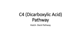 C4 (Dicarboxylic Acid)
Pathway
Hatch- Slack Pathway
 