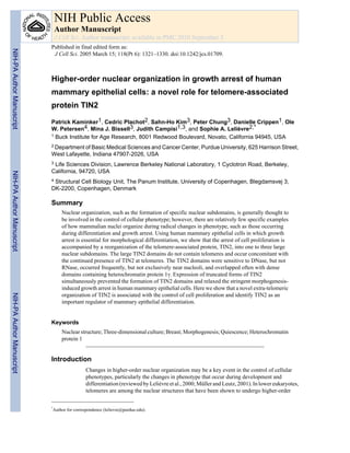 Higher-order nuclear organization in growth arrest of human
mammary epithelial cells: a novel role for telomere-associated
protein TIN2
Patrick Kaminker1, Cedric Plachot2, Sahn-Ho Kim3, Peter Chung3, Danielle Crippen1, Ole
W. Petersen4, Mina J. Bissell3, Judith Campisi1,3, and Sophie A. Lelièvre2,*
1 Buck Institute for Age Research, 8001 Redwood Boulevard, Novato, California 94945, USA
2 Department of Basic Medical Sciences and Cancer Center, Purdue University, 625 Harrison Street,
West Lafayette, Indiana 47907-2026, USA
3 Life Sciences Division, Lawrence Berkeley National Laboratory, 1 Cyclotron Road, Berkeley,
California, 94720, USA
4 Structural Cell Biology Unit, The Panum Institute, University of Copenhagen, Blegdamsvej 3,
DK-2200, Copenhagen, Denmark
Summary
Nuclear organization, such as the formation of specific nuclear subdomains, is generally thought to
be involved in the control of cellular phenotype; however, there are relatively few specific examples
of how mammalian nuclei organize during radical changes in phenotype, such as those occurring
during differentiation and growth arrest. Using human mammary epithelial cells in which growth
arrest is essential for morphological differentiation, we show that the arrest of cell proliferation is
accompanied by a reorganization of the telomere-associated protein, TIN2, into one to three large
nuclear subdomains. The large TIN2 domains do not contain telomeres and occur concomitant with
the continued presence of TIN2 at telomeres. The TIN2 domains were sensitive to DNase, but not
RNase, occurred frequently, but not exclusively near nucleoli, and overlapped often with dense
domains containing heterochromatin protein 1γ. Expression of truncated forms of TIN2
simultaneously prevented the formation of TIN2 domains and relaxed the stringent morphogenesis-
induced growth arrest in human mammary epithelial cells. Here we show that a novel extra-telomeric
organization of TIN2 is associated with the control of cell proliferation and identify TIN2 as an
important regulator of mammary epithelial differentiation.
Keywords
Nuclear structure; Three-dimensional culture; Breast; Morphogenesis; Quiescence; Heterochromatin
protein 1
Introduction
Changes in higher-order nuclear organization may be a key event in the control of cellular
phenotypes, particularly the changes in phenotype that occur during development and
differentiation (reviewed by Lelièvre et al., 2000; Müller and Leutz, 2001). In lower eukaryotes,
telomeres are among the nuclear structures that have been shown to undergo higher-order
*
Author for correspondence (lelievre@purdue.edu).
NIH Public Access
Author Manuscript
J Cell Sci. Author manuscript; available in PMC 2010 September 3.
Published in final edited form as:
J Cell Sci. 2005 March 15; 118(Pt 6): 1321–1330. doi:10.1242/jcs.01709.
NIH-PAAuthorManuscriptNIH-PAAuthorManuscriptNIH-PAAuthorManuscript
 