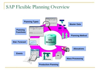 SAP Flexible Planning Overview
 