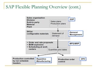 SAP Flexible Planning Overview (cont.)
 
