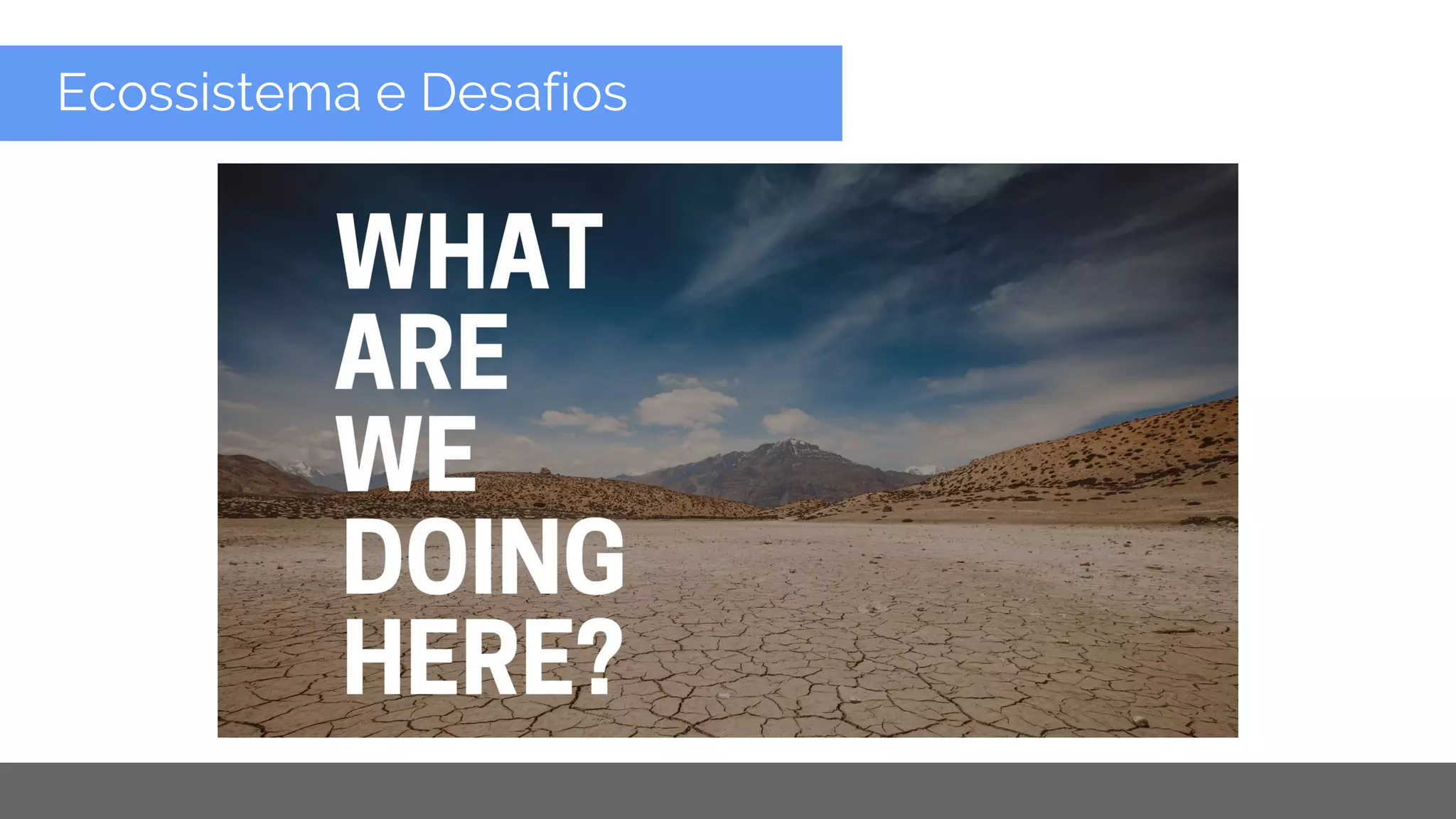 Copyright 2015 Google Inc
Ecossistema e Desafios
 