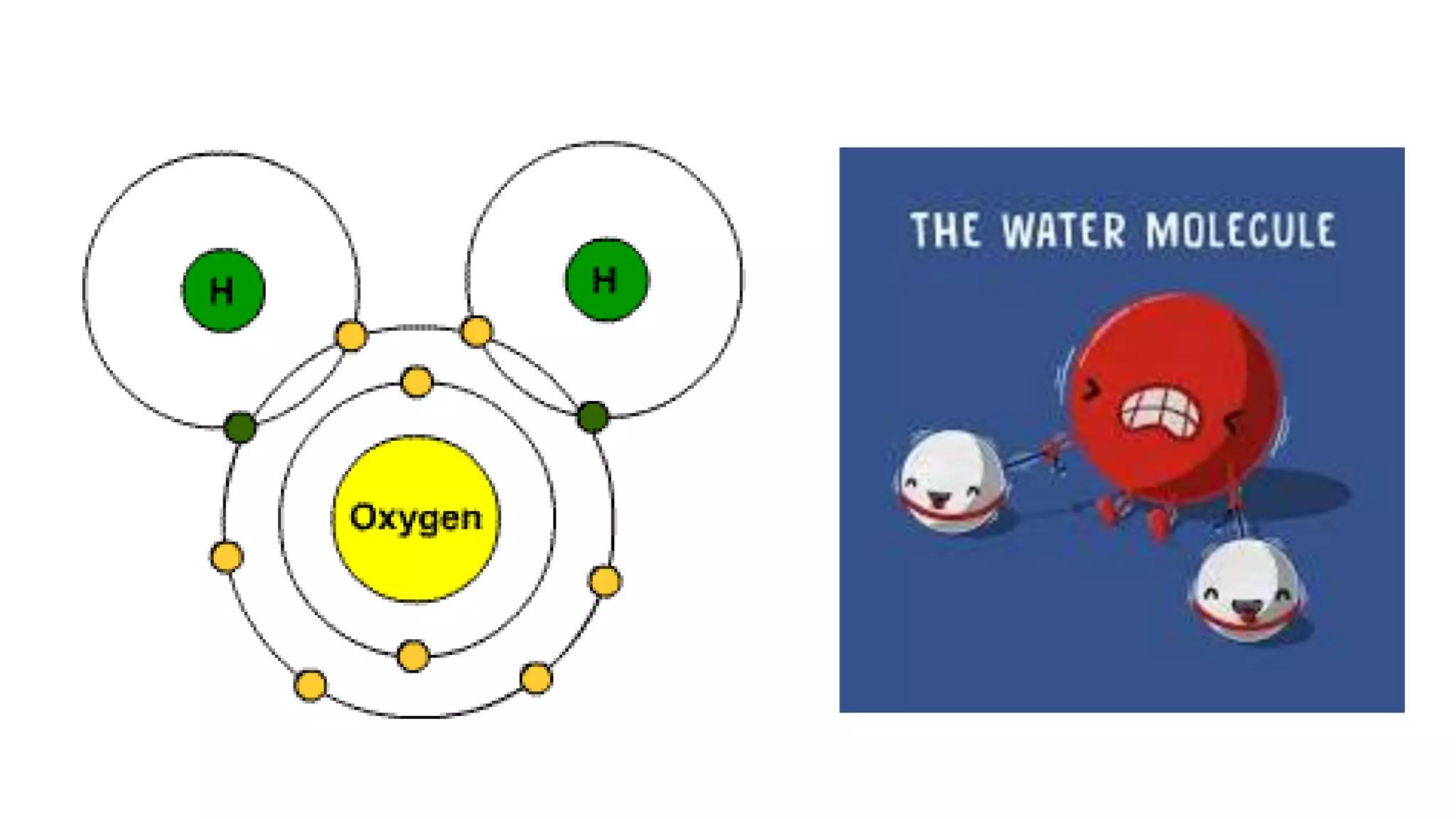 Ionic, covalent, and metallic bonds | PPTX