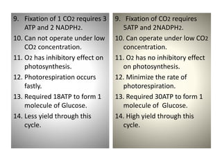 9. Fixation of 1 CO2 requires 3
ATP and 2 NADPH2.
10. Can not operate under low
CO2 concentration.
11. O2 has inhibitory effect on
photosynthesis.
12. Photorespiration occurs
fastly.
13. Required 18ATP to form 1
molecule of Glucose.
14. Less yield through this
cycle.
9. Fixation of CO2 requires
5ATP and 2NADPH2.
10. Can operate under low CO2
concentration.
11. O2 has no inhibitory effect
on photosynthesis.
12. Minimize the rate of
photorespiration.
13. Required 30ATP to form 1
molecule of Glucose.
14. High yield through this
cycle.
 
