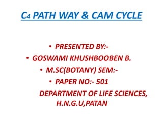 C4 PATH WAY & CAM CYCLE
• PRESENTED BY:-
• GOSWAMI KHUSHBOOBEN B.
• M.SC(BOTANY) SEM:-
• PAPER NO:- 501
DEPARTMENT OF LIFE SCIENCES,
H.N.G.U,PATAN
 