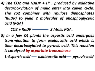 4) The CO2 and NADP + H⁺ , produced by oxidative
decarboxylation of malic enter into calvin cycle.
The co2 combines with ribulose diphosphates
(RuDP) to yield 2 molecules of phosphoglyceric
acid (PGA)
CO2 + RuDP 2 Mols. PGA.
5) In a few C4 plants the aspartic acid undergoes
transmination to form oxaloacetic acid which is
then decarboxylated to pyruvic acid. This reaction
is catalysed by aspartate transminase.
L-Aspartic acid oxaloacetic acid pyruvic acid
 