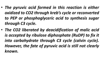 • The pyruvic acid formed in this reaction is either
oxidized to CO2 through kreb’s cycle or reconverted
to PEP or phosphoglyceric acid to synthesis sugar
through C3 cycle.
• The CO2 liberated by deacidification of malic acid
is accepted by ribulose diphosphate (RuDP) to fix it
into carbohydrate through C3 cycle (calvin cycle).
However, the fate of pyruvic acid is still not clearly
known.
 