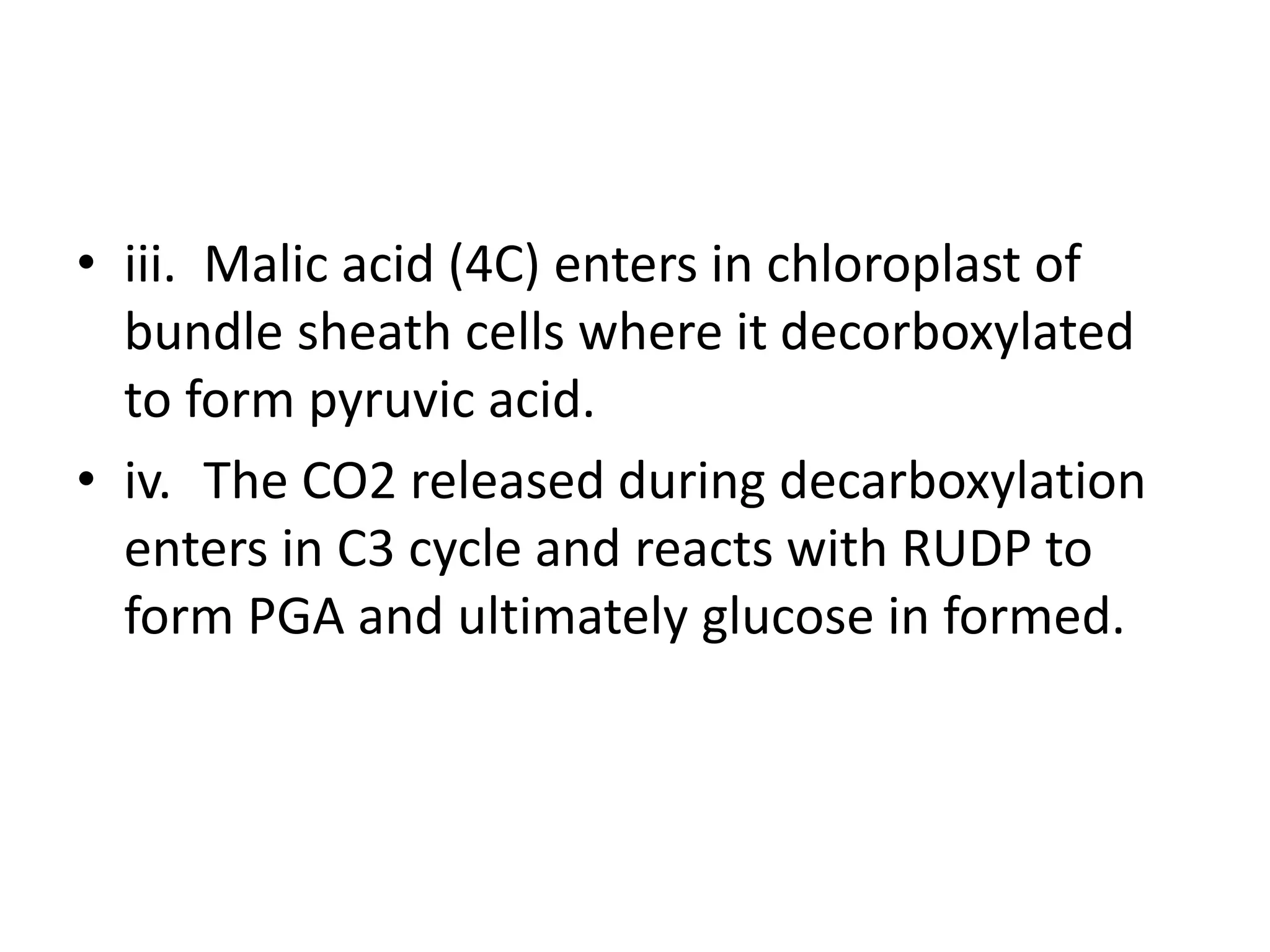• iii. Malic acid (4C) enters in chloroplast of
bundle sheath cells where it decorboxylated
to form pyruvic acid.
• iv. The CO2 released during decarboxylation
enters in C3 cycle and reacts with RUDP to
form PGA and ultimately glucose in formed.
 