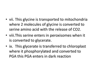 • vii. This glycine is transported to mitochondria
where 2 molecules of glycine is converted to
serine amino acid with the release of CO2.
• viii.This serine enters in peroxisomes when it
is converted to glycerate.
• ix. This glycerate is transferred to chloroplast
where it phosphorylated and converted to
PGA this PGA enters in dark reaction
 