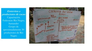 Cacao para la paz