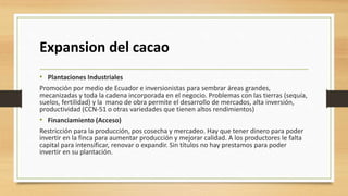 Cacao para la paz