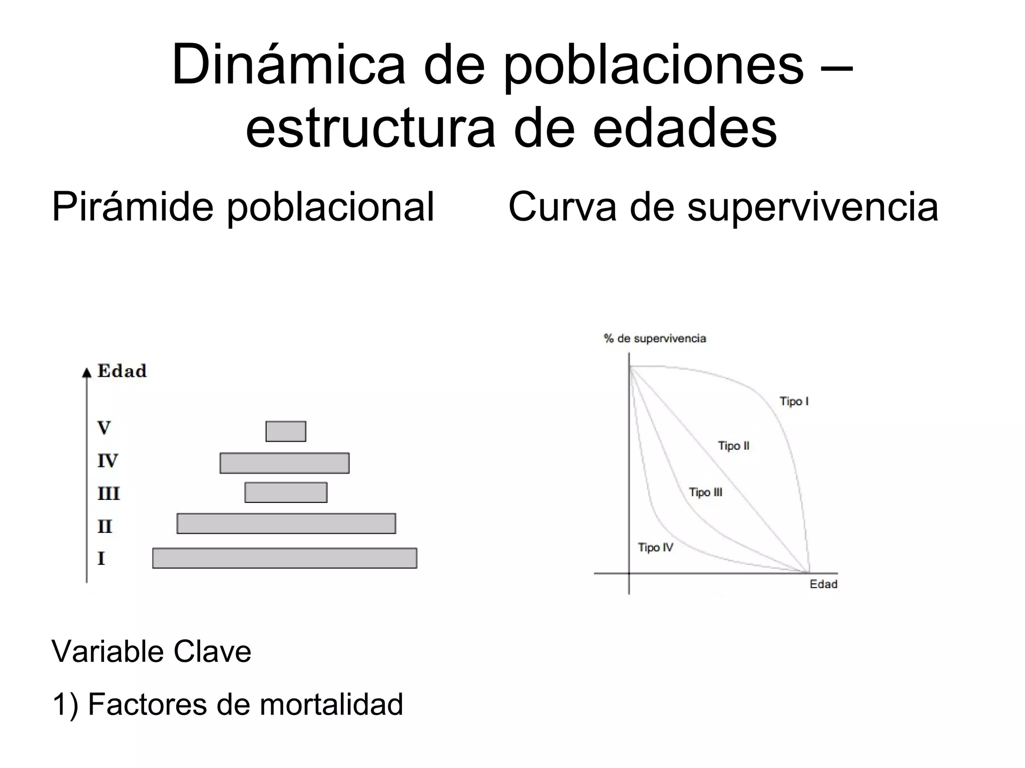 Dinámica de poblaciones –
estructura de edades
Pirámide poblacional Curva de supervivencia
Variable Clave
1) Factores de mortalidad
 