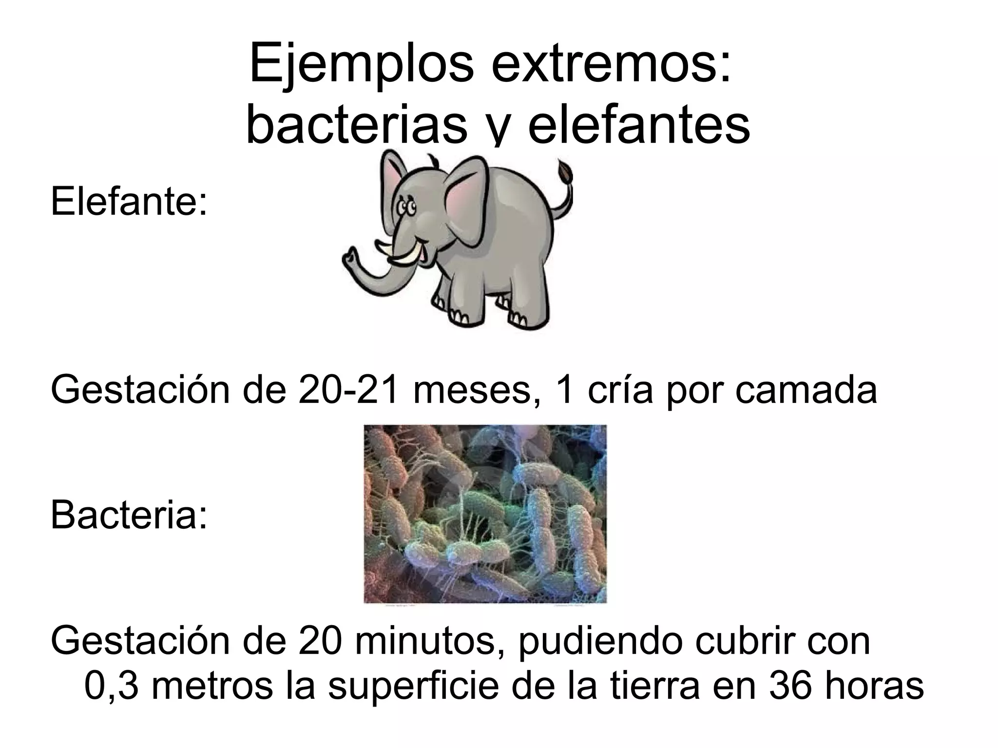 Ejemplos extremos:
bacterias y elefantes
Elefante:
Gestación de 20-21 meses, 1 cría por camada
Bacteria:
Gestación de 20 minutos, pudiendo cubrir con
0,3 metros la superficie de la tierra en 36 horas
 