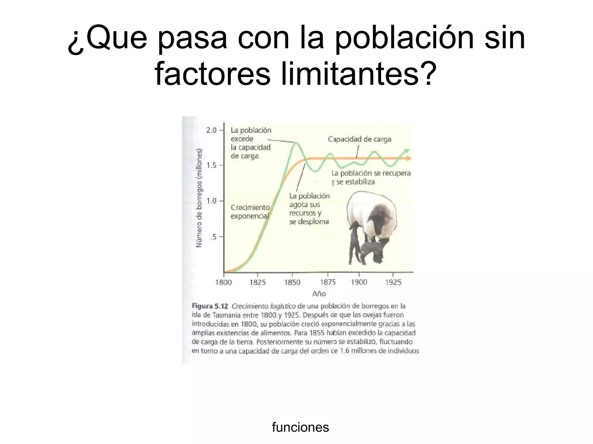 ¿Que pasa con la población sin
factores limitantes?
funciones
 