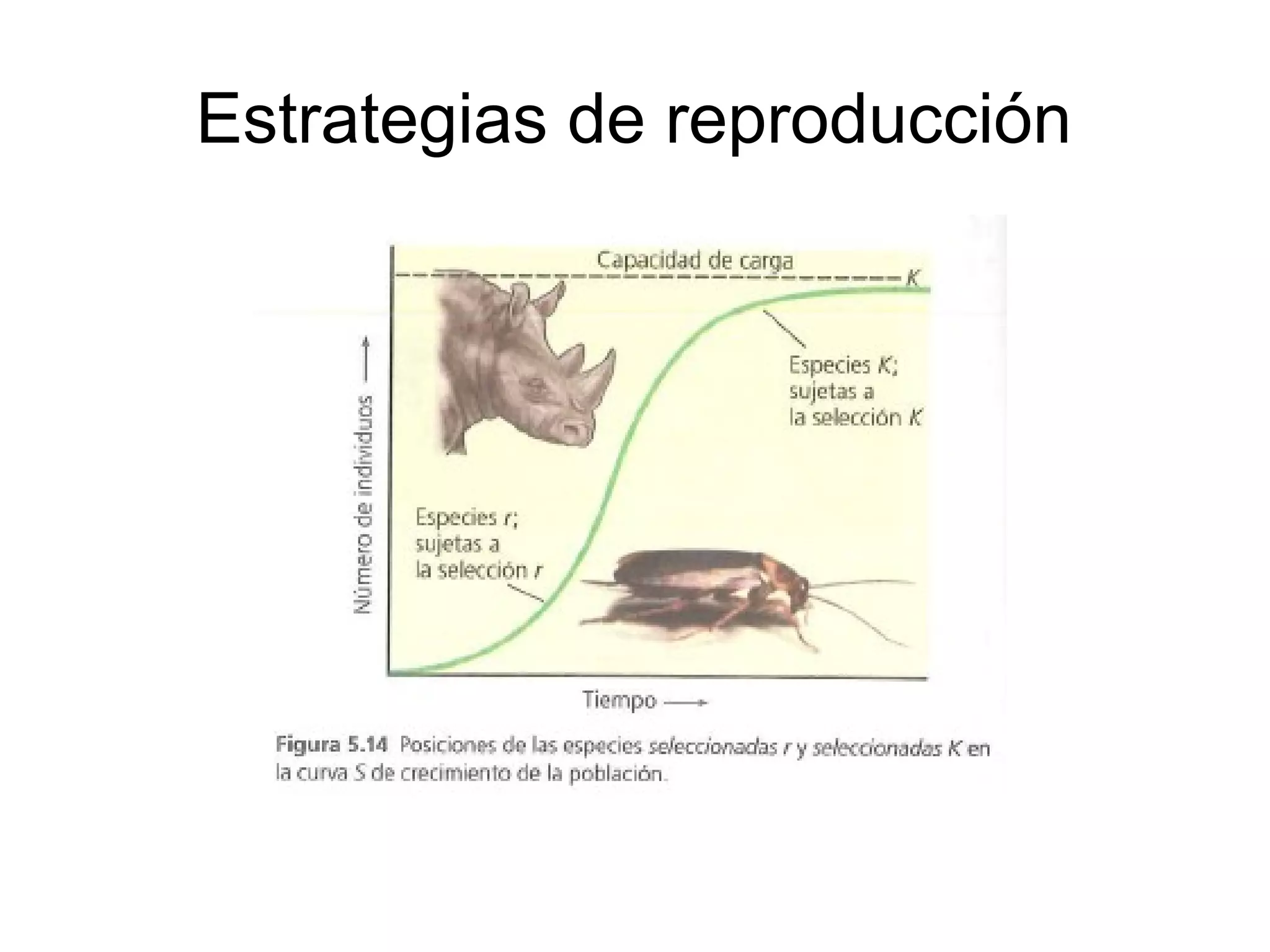Estrategias de reproducción
 